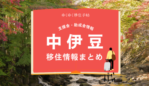 中伊豆（伊豆市）の移住情報まとめ｜支援金・助成金情報