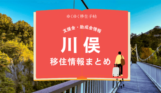 川俣（日光市）の移住情報まとめ｜支援金・助成金情報